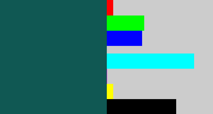 Hex color #105853 - dark turquoise