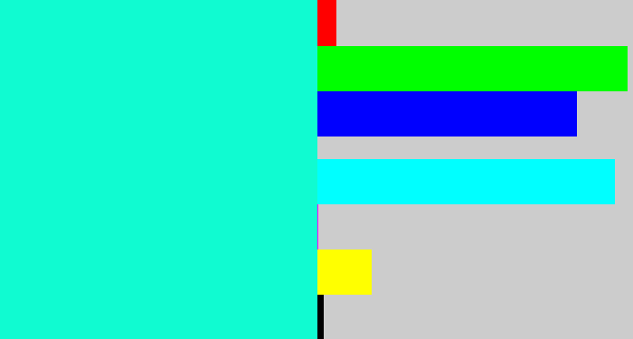 Hex color #10fbd1 - bright teal