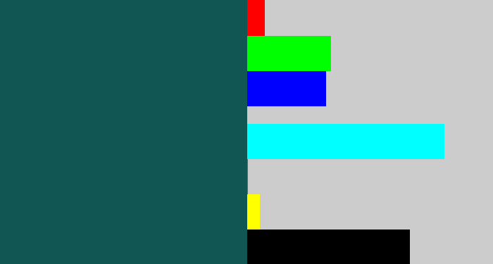 Hex color #115652 - dark turquoise