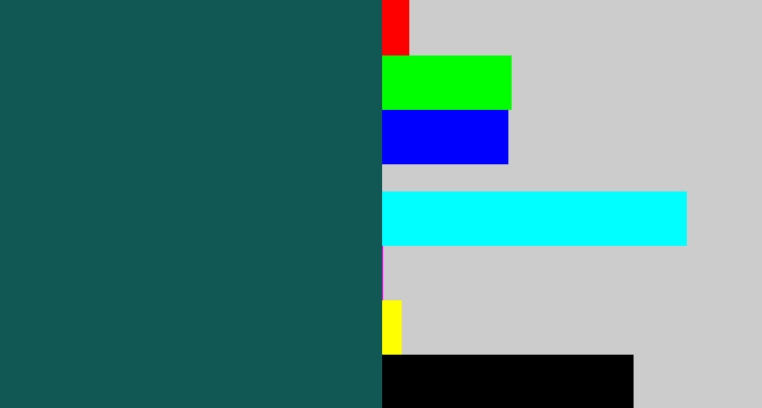 Hex color #115753 - dark turquoise