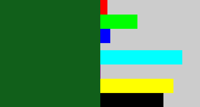Hex color #115f1a - deep green
