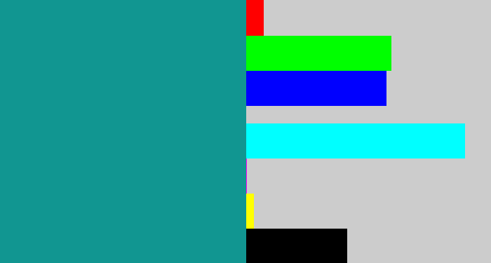 Hex color #119691 - blue/green