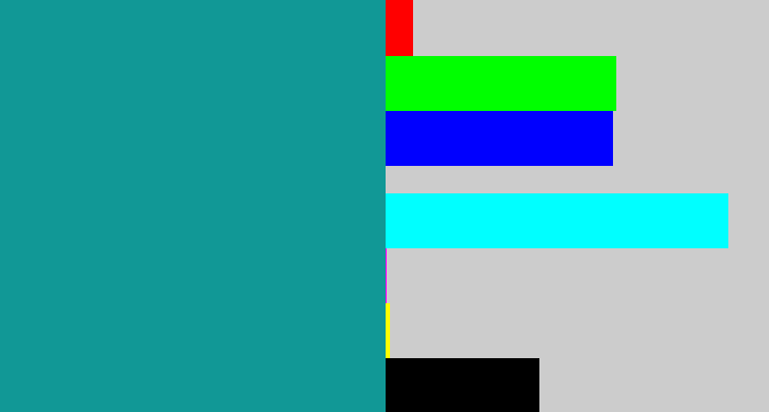 Hex color #119896 - blue/green