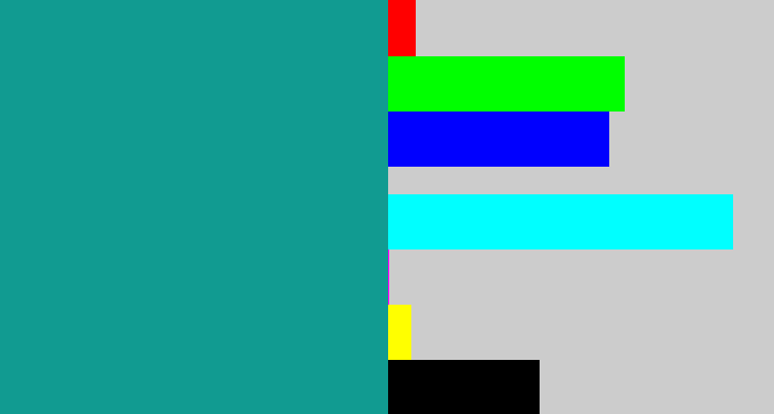 Hex color #119b91 - blue/green