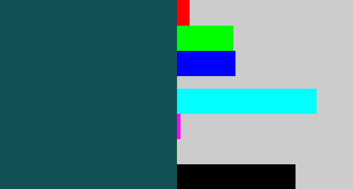 Hex color #125254 - dark turquoise