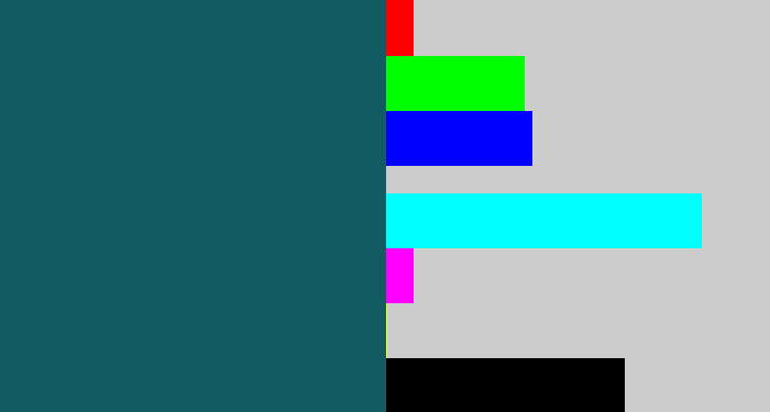 Hex color #125b62 - dark turquoise