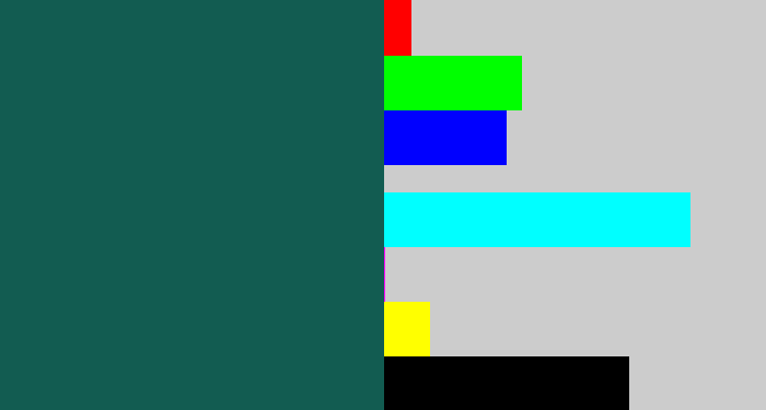Hex color #125c51 - dark green blue