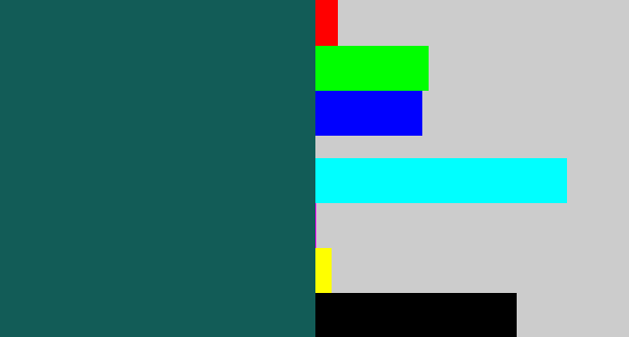 Hex color #125c57 - dark turquoise