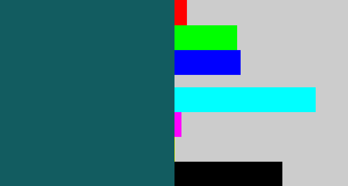 Hex color #125c60 - dark turquoise