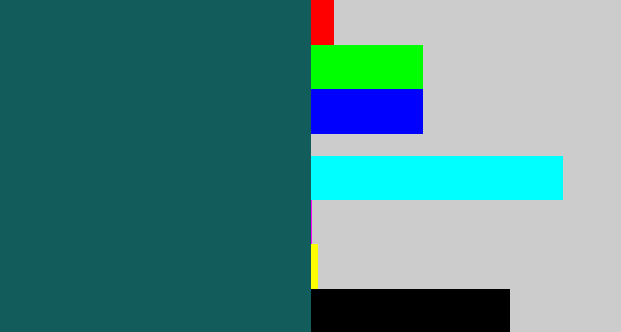 Hex color #125d5b - dark turquoise