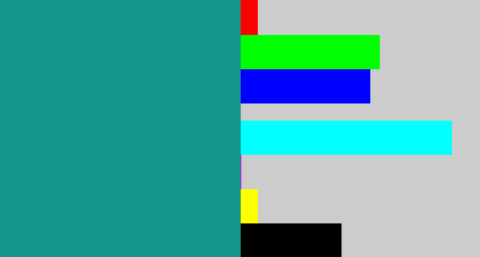 Hex color #12958a - blue/green