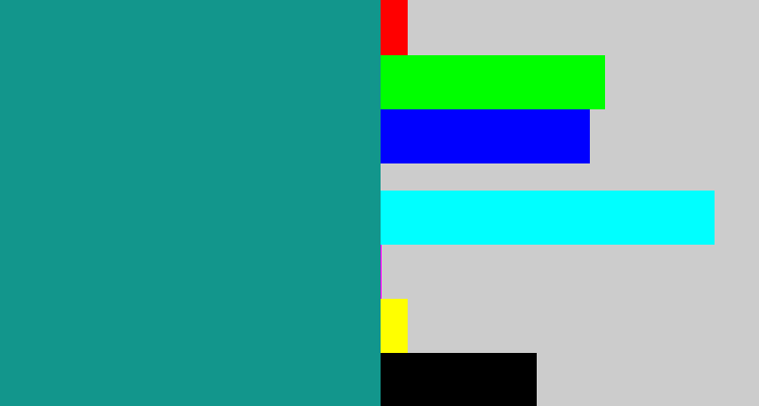 Hex color #12968c - blue/green