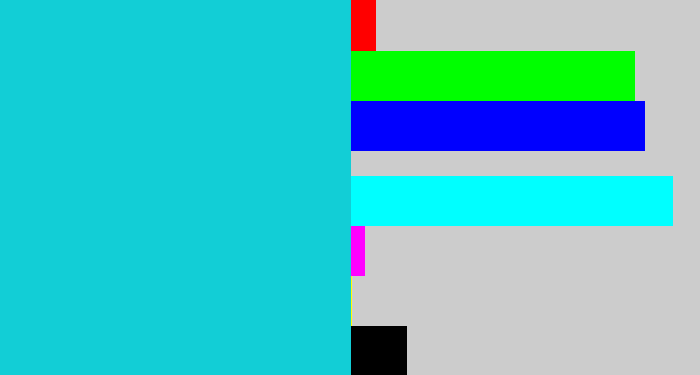 Hex color #12ced6 - aqua blue