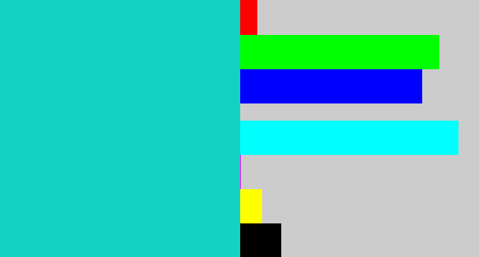 Hex color #12d3c1 - aquamarine