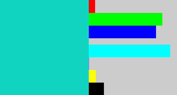Hex color #12d4c2 - aquamarine