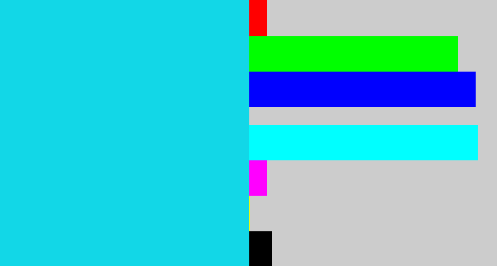 Hex color #12d7e7 - aqua blue