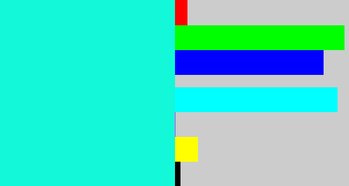 Hex color #12f8d9 - bright aqua