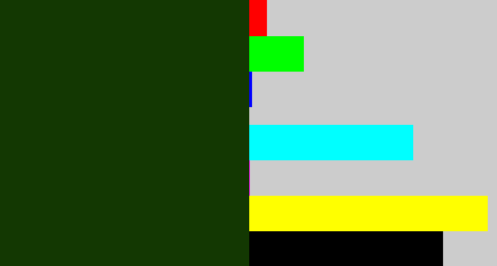 Hex color #133802 - forrest green