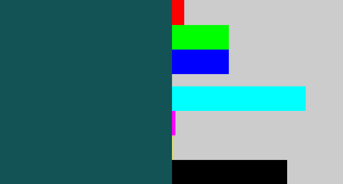 Hex color #135355 - dark turquoise