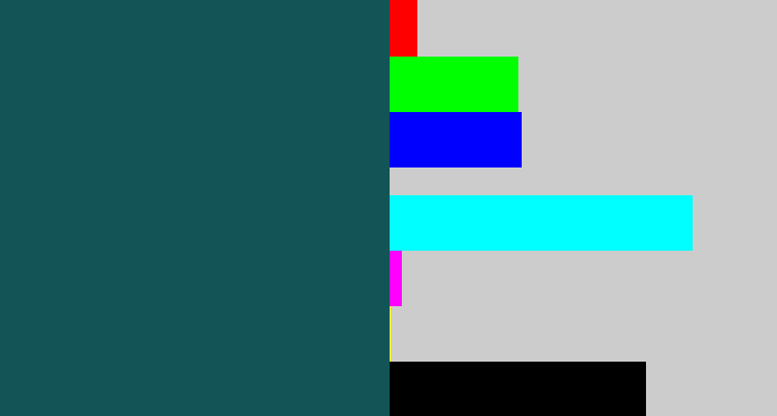 Hex color #135457 - dark turquoise