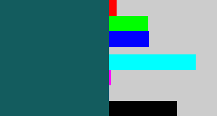 Hex color #135c5e - dark turquoise