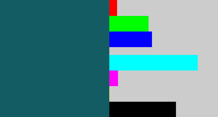 Hex color #135c64 - dark turquoise