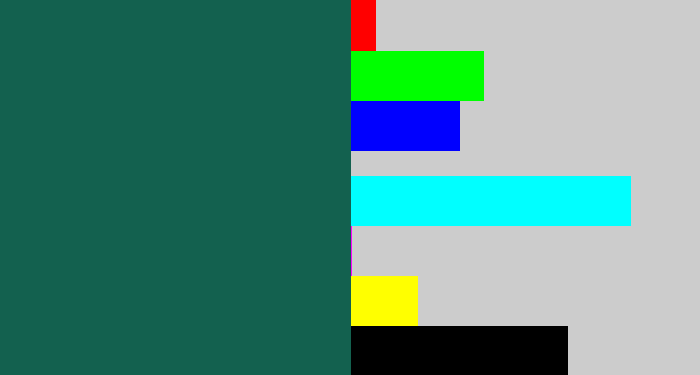 Hex color #13614f - dark green blue
