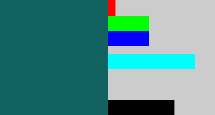 Hex color #136262 - dark green blue