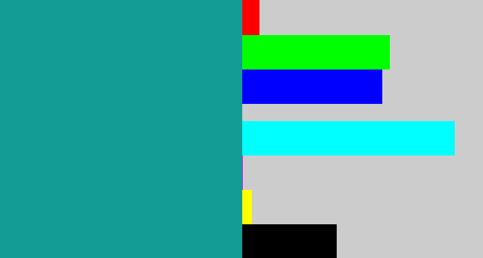 Hex color #139b95 - blue/green
