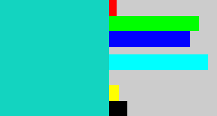 Hex color #13d4c0 - aquamarine