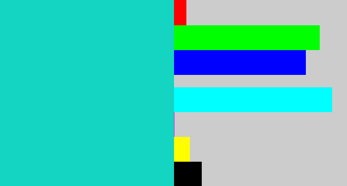 Hex color #13d5c1 - aquamarine