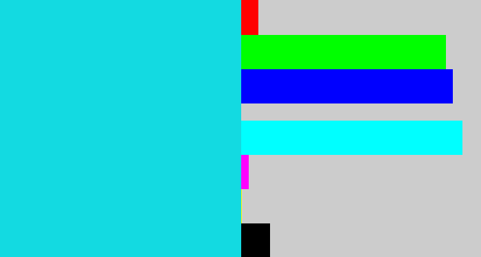 Hex color #13dae1 - aqua blue