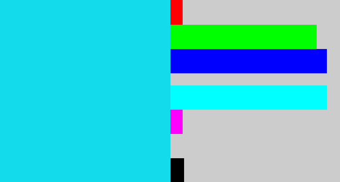 Hex color #13dbeb - aqua blue