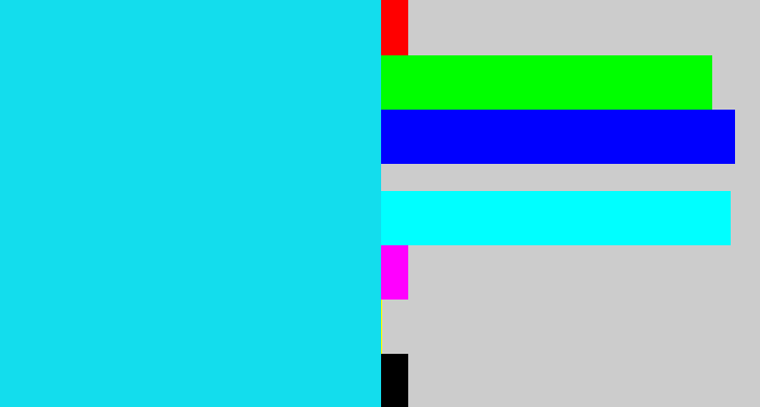 Hex color #13dded - aqua blue