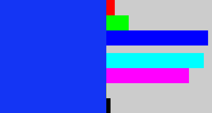 Hex color #1435f4 - vivid blue