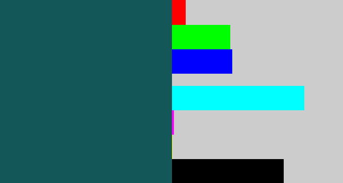 Hex color #145758 - dark green blue