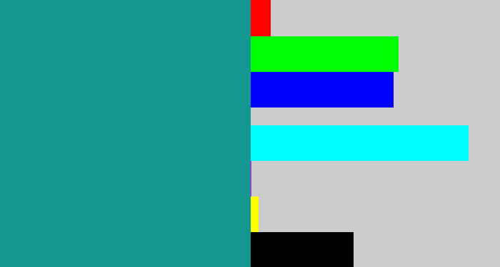 Hex color #149691 - blue/green