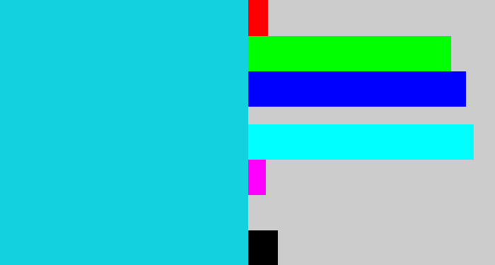 Hex color #14d1e0 - aqua blue