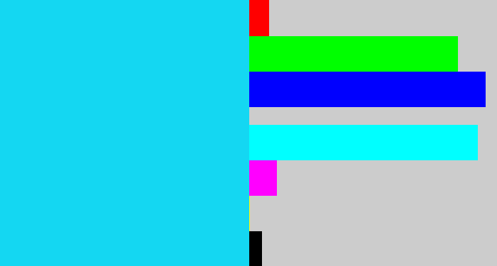 Hex color #14d7f2 - aqua blue