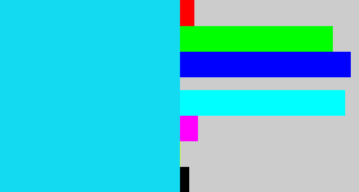 Hex color #14daf1 - aqua blue