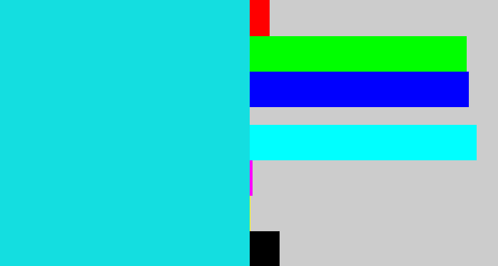 Hex color #14dee0 - aqua blue