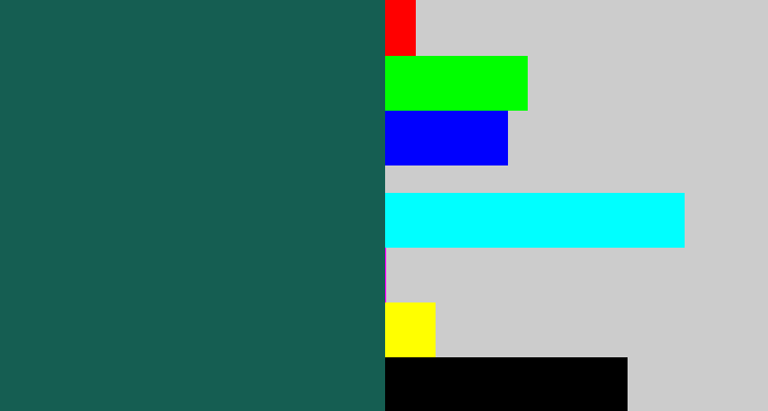 Hex color #155e52 - dark green blue