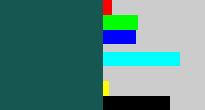 Hex color #165752 - dark green blue