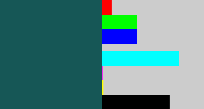 Hex color #165756 - dark green blue
