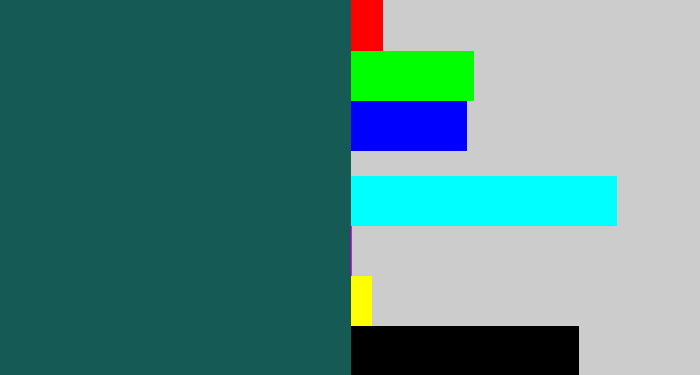 Hex color #165a55 - dark green blue