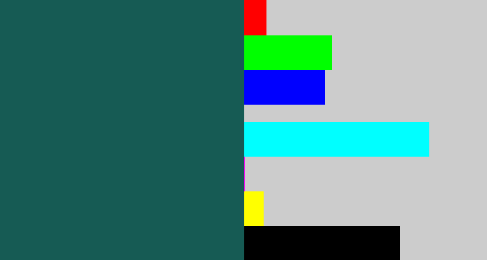 Hex color #165b54 - dark green blue