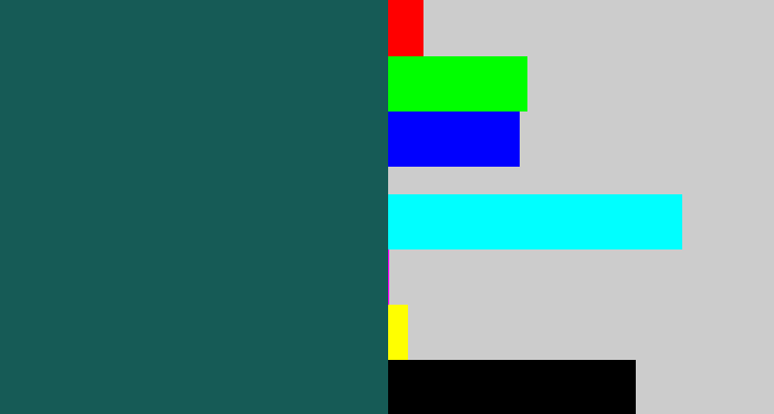 Hex color #165b56 - dark green blue