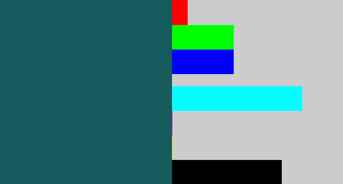 Hex color #165b5b - dark green blue