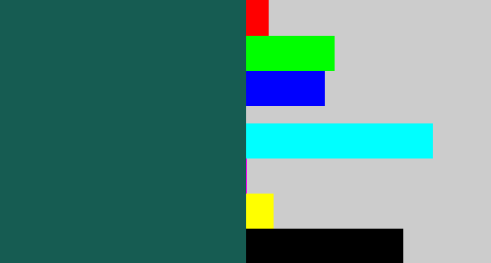 Hex color #165c52 - dark green blue