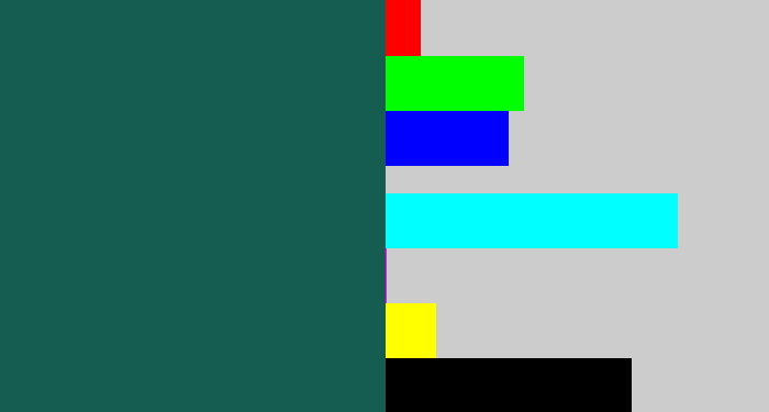 Hex color #165d51 - dark green blue